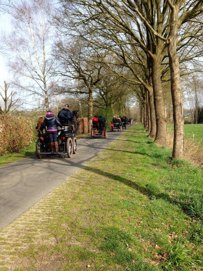 Wildenborcherhof Vorden Eksteriør billede